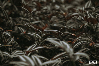 DSC_5122