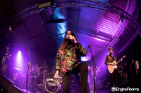 The Wildhearts