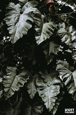 DSC_5053