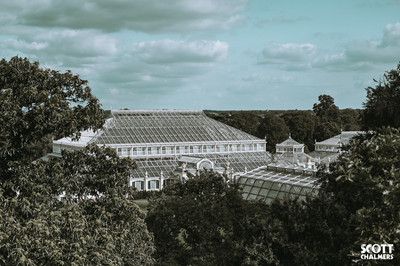 DSC_5184